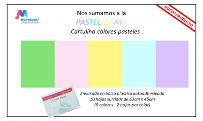 Cartulina S. Ajmechet 45 x 63 Cms. Colores Surtidos Pastel  Paq. x 10 Hjs.  Cod. Ca/10/00p
