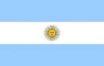 Bandera Argentina De Flameo Nuevo Milenio 20 X 32 Poliester 70 Grs. Con Sol Reforzada Cod.1100