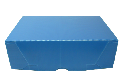 Caja de almacenamiento de plástico del totalizador del archivo,  carta/legal, tapa a presión, transparente/azul