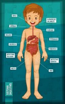 Puzzle Iman E.Creativos 16X10 Cm. Cuerpo Humano Sist.Digestivo  40 Piezas. Cod. Im1602